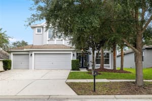 15629 STARLING WATER DRIVE, LITHIA, FL 33547 - MLS#MFRTB8433640