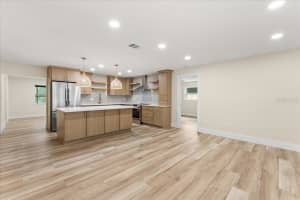 1155 LOTUS DRIVE, DUNEDIN, FL 34698 - MLS#MFRTB8433648