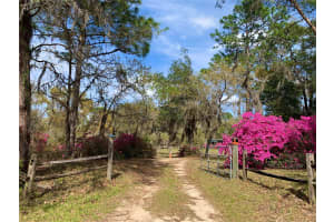 24645 and 24605 177TH TERRACE, FORT MC COY, FL 32134 - MLS#MFRTB8433651