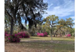 24645 and 24605 177TH TERRACE, FORT MC COY, FL 32134 - MLS#MFRTB8433651