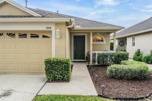 19351 HASKELL PLACE, LAND O LAKES, FL 34638 - MLS#MFRTB8433675