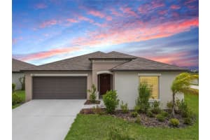 8598 Parsons Hill Blvd, WESLEY CHAPEL 8598 Parsons Hill Blvd, WESLEY CHAPEL