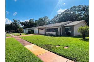 1144 LANYARD STREET, PALM HARBOR, FL 34685 - MLS#MFRTB8433705