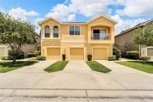 9109 Moonlit Meadows Loop, RIVERVIEW