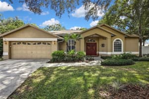 18401 DEBONAIR PLACE, LUTZ, FL 33549 - MLS#MFRTB8433711