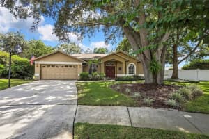 18401 DEBONAIR PLACE, LUTZ, FL 33549 - MLS#MFRTB8433711