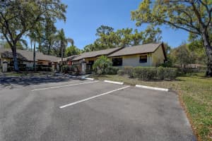 4031 BLUFF OAK COURT, PALM HARBOR, FL 34684 - MLS#MFRTB8433722