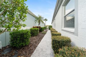 20941 TANGOR ROAD, LAND O LAKES, FL 34637 - MLS#MFRTB8433743