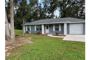 12744 ABBEY DRIVE, DADE CITY, FL 33525 - MLS#MFRTB8433745