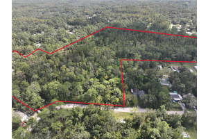 12818 MORTON STREET, NEW PORT RICHEY, FL 34654 - MLS#MFRTB8433752