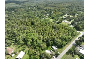12818 MORTON STREET, NEW PORT RICHEY, FL 34654 - MLS#MFRTB8433752