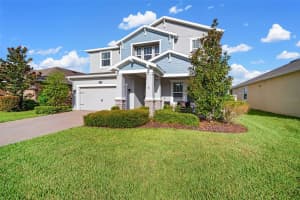 19399 LONG LAKE RANCH, LUTZ, FL 33558 - MLS#MFRTB8433787