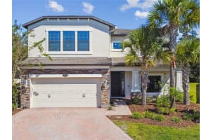 19556 WHISPERING BROOK DRIVE, TAMPA, FL 33647 - MLS#MFRTB8433789