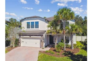 19556 WHISPERING BROOK DRIVE, TAMPA, FL 33647 - MLS#MFRTB8433789