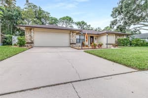 3404 Brian Rd S, PALM HARBOR 3404 Brian Rd S, PALM HARBOR