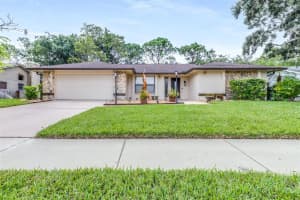 3404 BRIAN ROAD, PALM HARBOR, FL 34685 - MLS#MFRTB8433828