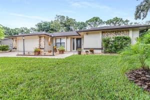 3404 BRIAN ROAD, PALM HARBOR, FL 34685 - MLS#MFRTB8433828