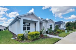 28564 SWEET PERSIMMON DRIVE, WESLEY CHAPEL, FL 33543 - MLS#MFRTB8433832