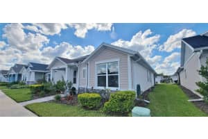 28564 SWEET PERSIMMON DRIVE, WESLEY CHAPEL, FL 33543 - MLS#MFRTB8433832