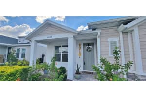 28564 SWEET PERSIMMON DRIVE, WESLEY CHAPEL, FL 33543 - MLS#MFRTB8433832