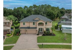 12922 RED CARDINAL DRIVE, ODESSA, FL 33556 - MLS#MFRTB8433836