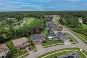 12922 RED CARDINAL DRIVE, ODESSA, FL 33556 - MLS#MFRTB8433836