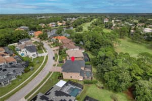 12922 RED CARDINAL DRIVE, ODESSA, FL 33556 - MLS#MFRTB8433836
