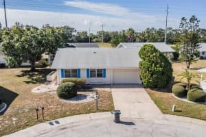 216 Genet Ct, SUN CITY CENTER