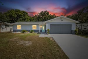 1115 BRISTOLWOOD STREET, BRANDON, FL 33510 - MLS#MFRTB8433845