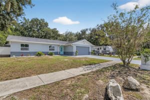 1115 BRISTOLWOOD STREET, BRANDON, FL 33510 - MLS#MFRTB8433845