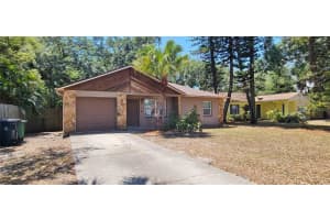 3214 VAN BUREN DRIVE, TAMPA, FL 33611 - MLS#MFRTB8433849