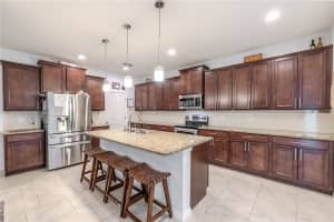 1089 MONTGOMERY BELL ROAD, WESLEY CHAPEL, FL 33543 - MLS#MFRTB8433866