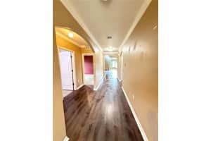 3838 CROSSLINE DRIVE, SPRING HILL, FL 34609 - MLS#MFRTB8433871