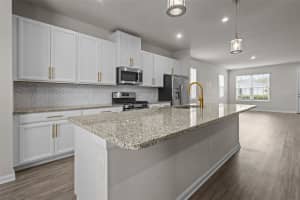 15384 CARAVAN AVENUE, ODESSA, FL 33556 - MLS#MFRTB8433889