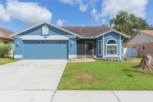 607 Sand Ridge Dr, VALRICO