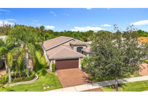 16113 CAPE CORAL DRIVE, WIMAUMA, FL 33598 - MLS#MFRTB8433984