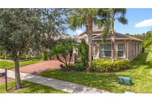 16113 CAPE CORAL DRIVE, WIMAUMA, FL 33598 - MLS#MFRTB8433984