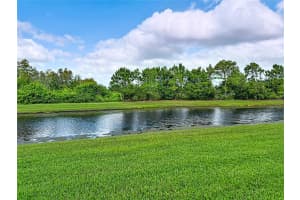 16113 CAPE CORAL DRIVE, WIMAUMA, FL 33598 - MLS#MFRTB8433984