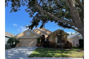 1410 SADDLE GOLD COURT, BRANDON, FL 33511 - MLS#MFRTB8433987