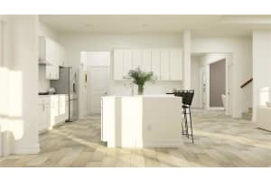 1156 BROWARD DRIVE, ZEPHYRHILLS, FL 33541 - MLS#MFRTB8434016