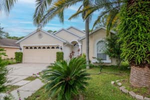 314 FOUNTAINVIEW CIRCLE, OLDSMAR, FL 34677 - MLS#MFRTB8434064