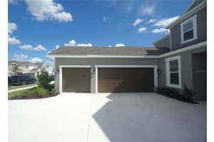 33912 ANCHOR LIGHT LANE, WESLEY CHAPEL, FL 33543 - MLS#MFRTB8434079