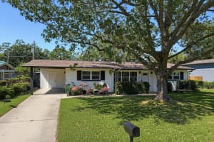4513 HESPERIDES STREET, TAMPA, FL 33611 - MLS#MFRTB8434103