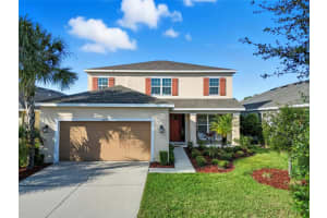 8015 Marbella Creek Ave, TAMPA