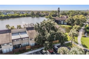 MLS# MFRTB8434180, St Petersburg, Florida 33716