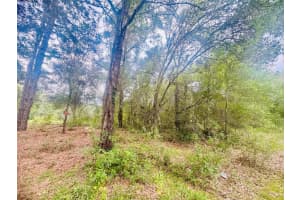 2203 ADAMS STREET, INVERNESS, FL 34453 - MLS#MFRTB8434186