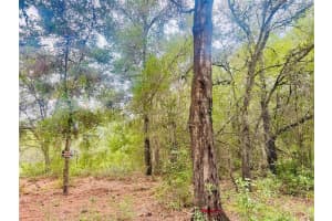 2203 ADAMS STREET, INVERNESS, FL 34453 - MLS#MFRTB8434186