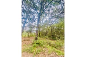 2203 ADAMS STREET, INVERNESS, FL 34453 - MLS#MFRTB8434186