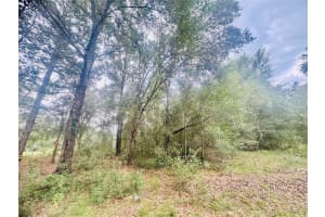 2203 ADAMS STREET, INVERNESS, FL 34453 - MLS#MFRTB8434186