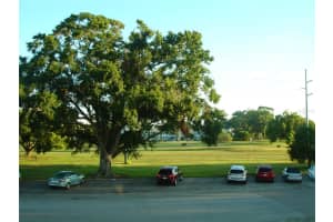 2467 FINLANDIA LANE, CLEARWATER, FL 33763 - MLS#MFRTB8434227